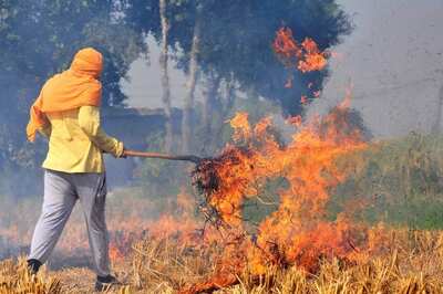 Opinion | Unmasking Real Culprit: Recent Pollution Linked to Biomass Burning, Not Diwali Crackers