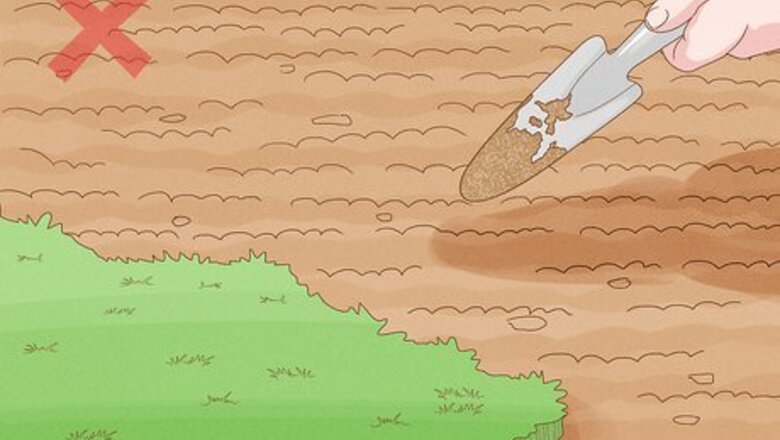 How to Control Weeds