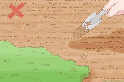 How to Control Weeds