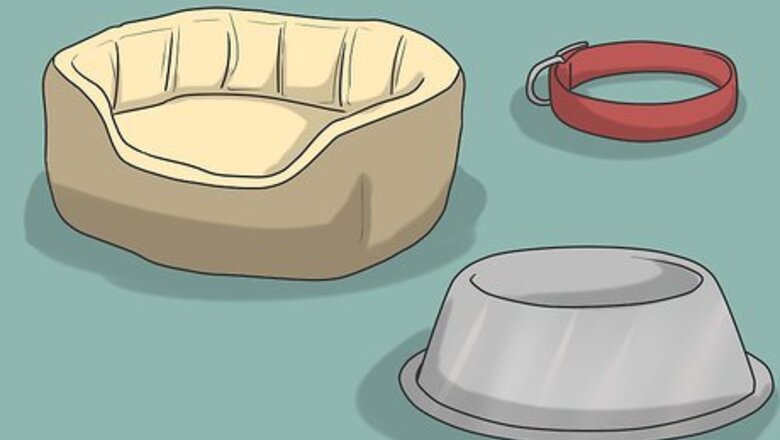 How to Introduce a New Dog to Your House and Other Dogs