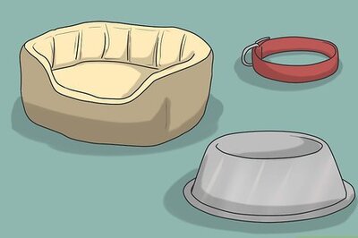 How to Introduce a New Dog to Your House and Other Dogs