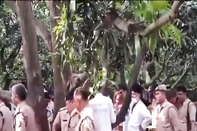Teen Girls Found Hanging From Tree In UP’s Farrukhabad, Family Says 'Someone Killed Them'