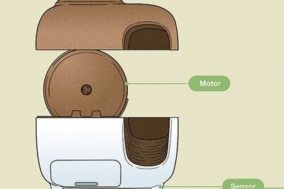 The Ultimate Guide to Self-Cleaning Litter Boxes, Including How to Choose One for Your Cat