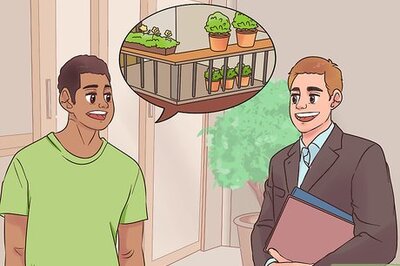 How to Manage a Balcony Garden