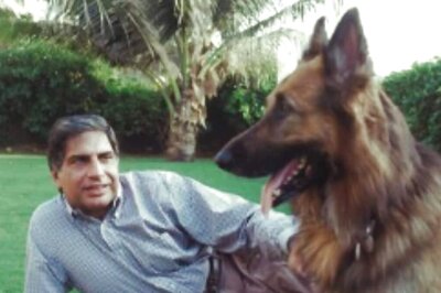 Goa Was Ratan Tata’s Favourite Dog But He Loved Tito The Most