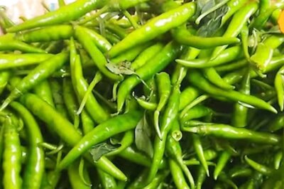 In Tamil Nadu's Villupuram, Green Chilli Prices Skyrocket To Rs 160 Per Kg