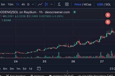 Moo Deng Memecoin User Turns Rs 1 Lakh Into Rs 100 Crore In Just 17 Days
