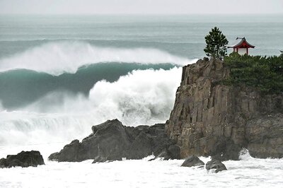 Powerful typhoon kills 11,000 farmed tuna in Japan: Reports