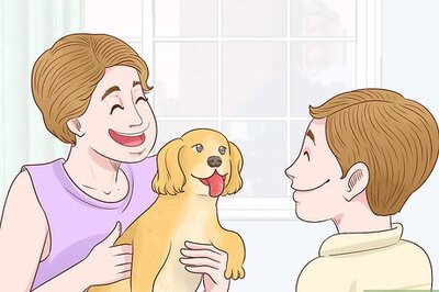 How to Help a Dog Overcome Its Fear of Children