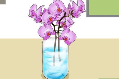 How to Display Flowers Without a Vase