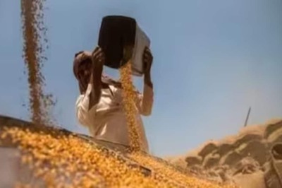 ‘Keeping Prices Stable Top Priority’: After Pulses, Centre Imposes Stock Limits On Wheat