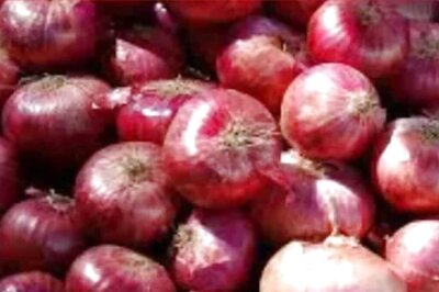 Central Govt Starts Retail Sale Of Onions At Rs 35 Per Kg In Delhi-NCR