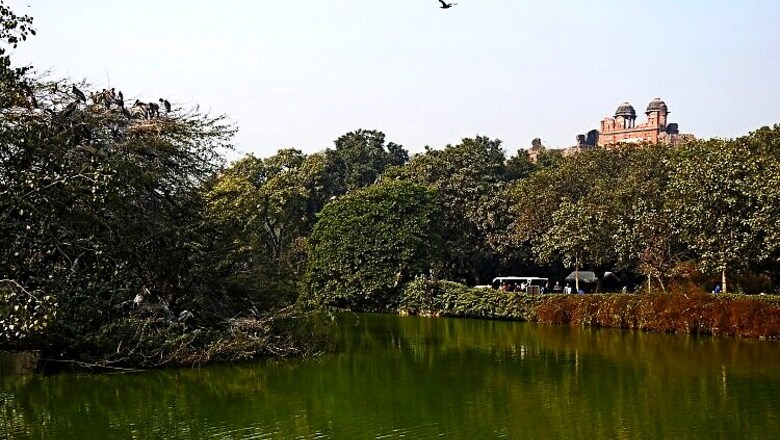 Giant Coolers, Water Pools Set Up In Delhi Zoo
