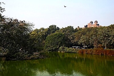 Giant Coolers, Water Pools Set Up In Delhi Zoo