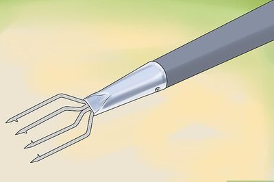 How to Catch a Bullfrog