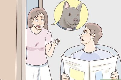 How to Find a Lost Dog