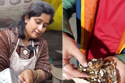 Chocolate Cheese Vada Pav: Someone Reimagined the Iconic Dish But Nobody Wants a Bite