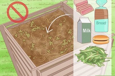 How to Get Rats and Mice out of Compost