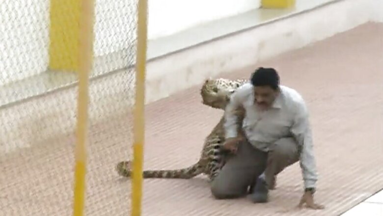 Leopard scare: Government asks 130 schools to remain shut in Bengaluru