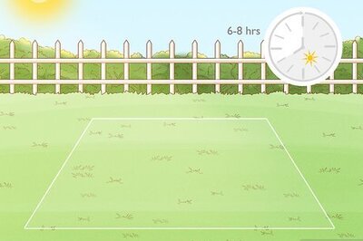 How to Plant a Garden: A Comprehensive Guide