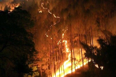 Uttarakhand Forest Fire Rages, Number of Firefighters Doubled