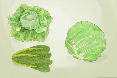 How to Plant Lettuce