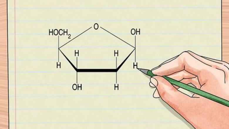 How to Understand DNA Structure