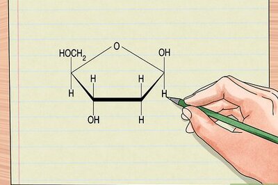 How to Understand DNA Structure