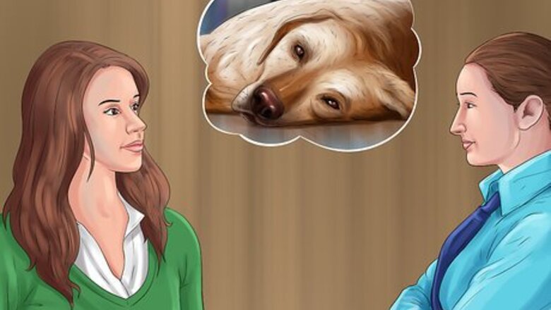 How to Help an Abused Dog