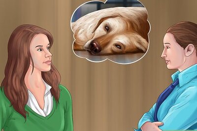How to Help an Abused Dog