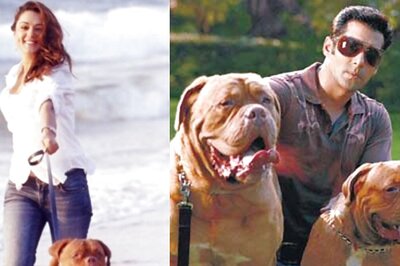 Preity Zinta Drops Photo With Salman Khan's Late Pet Dog Myjaan: 'She Made Sure No One Came Near Me'