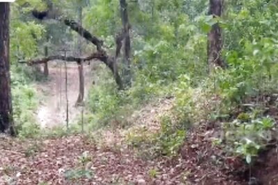 In Dakshin Kannada, Solar Fence Installed To Stop Wild Elephants From Entering Agricultural Lands