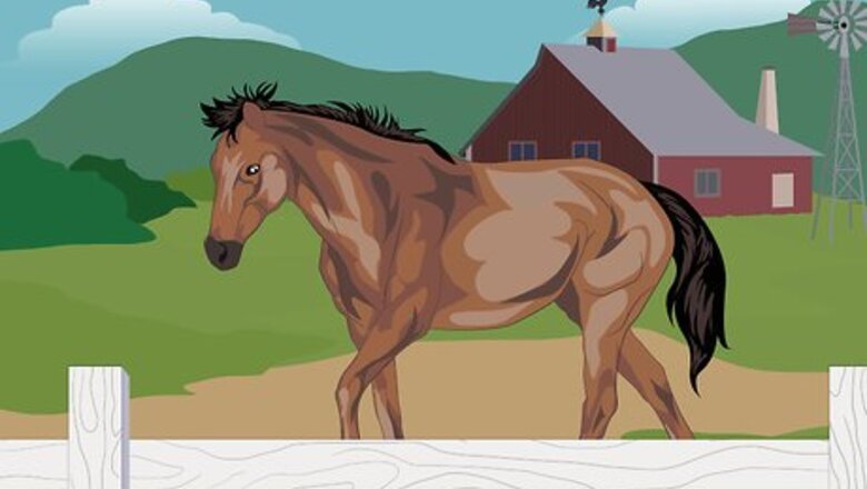 How to Prevent Heaves in Horses