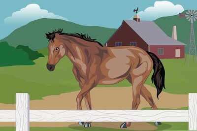 How to Prevent Heaves in Horses