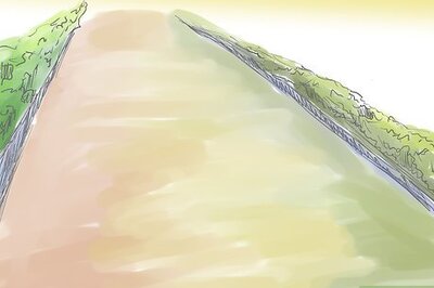 How to Grow Mugwort (Artemisia)