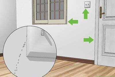 How to Get Rid of Tiny Ants