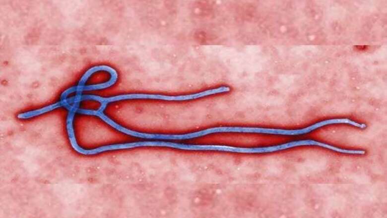 How does Ebola virus spread and can it be stopped?