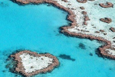 World Reef Awareness Day 2023: Interesting Facts, and Where Can Coral Reefs Be Found in India?