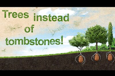 Wish to be a Tree After Death? This Egg-like Pod Could Give a Greener Death