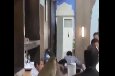 WATCH | After Flooded Runway, Monkey's Breakfast Buffet at IGI Airport Surprise Travellers