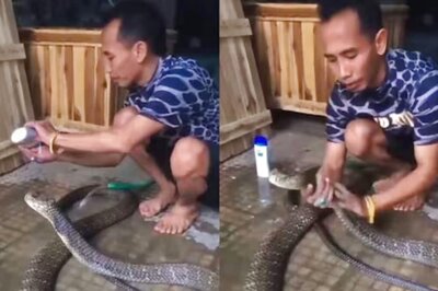 Watch: Man Gives Shampoo Bath To King Cobra