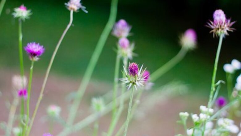 How to Cope in the World of Ego