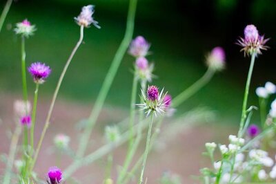 How to Cope in the World of Ego