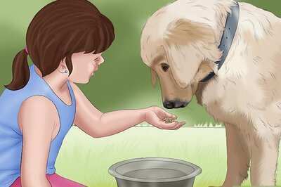 How to Teach a Child to Help Others