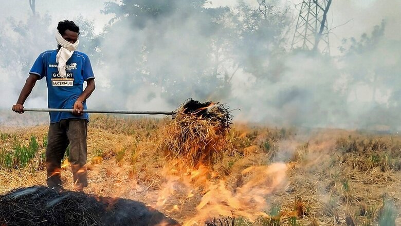 ‘No Penal Action, Only Meetings’: SC Pulls Up Punjab, Haryana On Stubble Burning