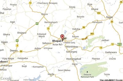 58 tigers died in Madhya Pradesh in past five years