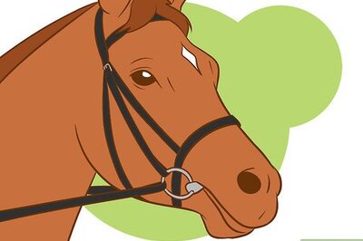 How to Stop a Horse from Bucking