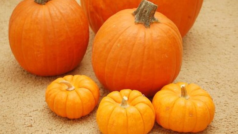 How to Maintain a Carved Pumpkin