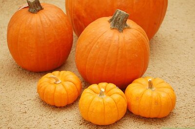 How to Maintain a Carved Pumpkin