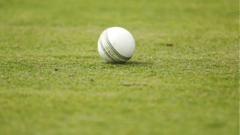 Cricket Ball Hits Uttar Pradesh IPS officer, Children Detained for Six Hours